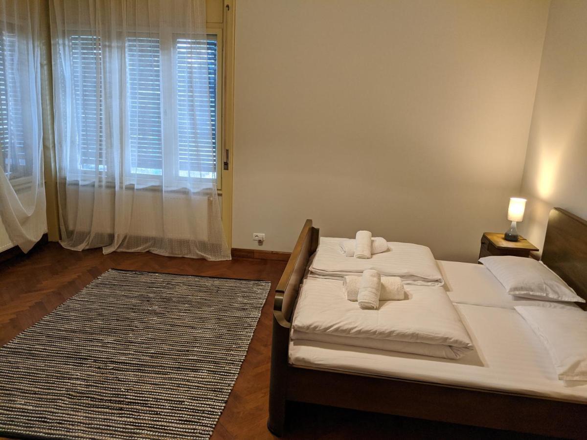 Cristian Apartment Near Old Town Тимишоара Екстериор снимка