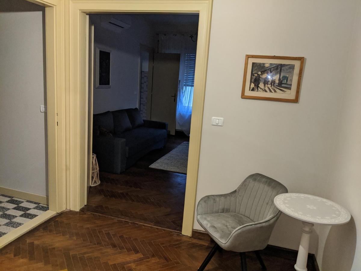 Cristian Apartment Near Old Town Тимишоара Екстериор снимка