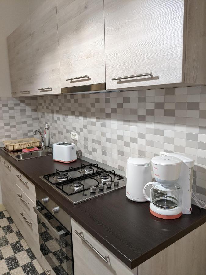 Cristian Apartment Near Old Town Тимишоара Екстериор снимка
