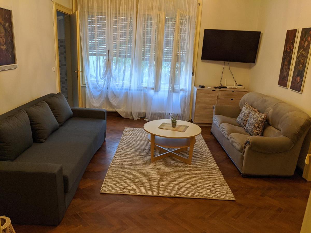 Cristian Apartment Near Old Town Тимишоара Екстериор снимка