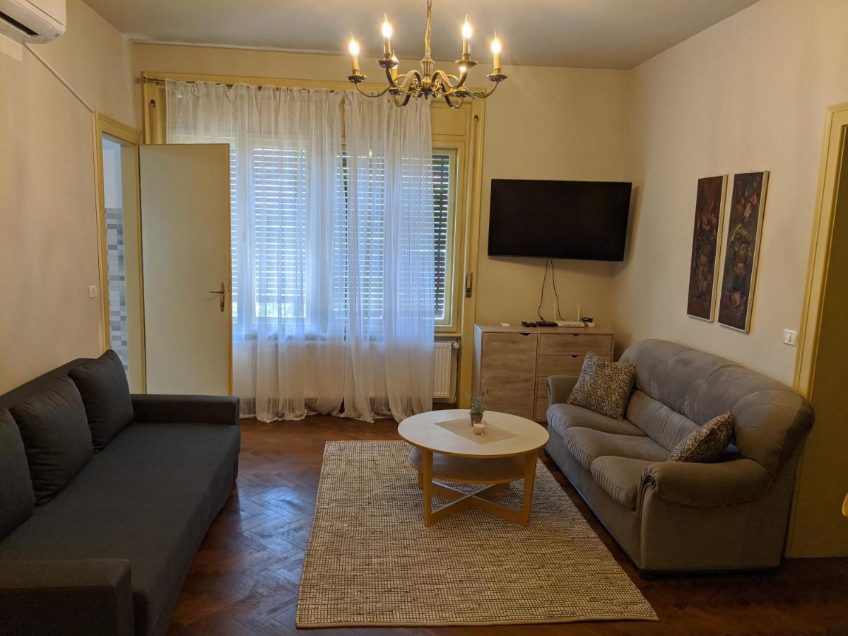 Cristian Apartment Near Old Town Тимишоара Екстериор снимка